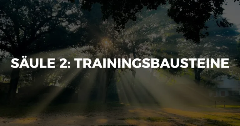 Periodisierung für Master-Athleten: Belastungswochen und Tapering vor dem Ultra clever steuern